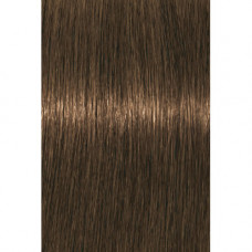 IGORA Royal Absolutes 7-140, 60 мл IGORA Royal Absolutes 7-140, 60 мл