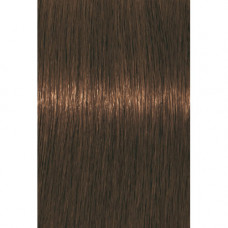 IGORA Royal Absolutes 7-460, 60 мл IGORA Royal Absolutes 7-460, 60 мл