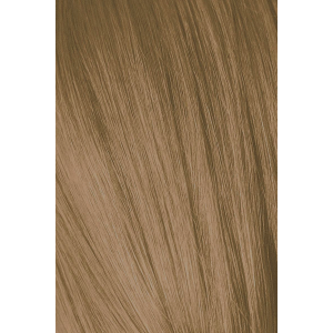 Igora крем-краска Royal Absolutes Age Blend 7-450, 60 мл Igora крем-краска Royal Absolutes Age Blend 7-450, 60 мл