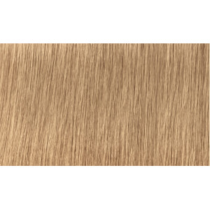 INDOLA крем-краска xpressColor 8.03 Светлый русый натуральный золотистый, 60 мл INDOLA крем-краска xpressColor 8.03 Светлый русый натуральный золотистый, 60 мл