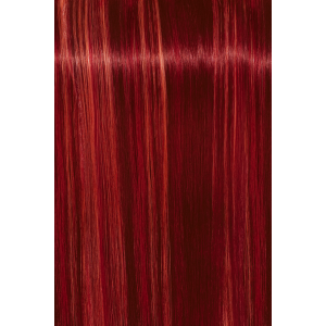 IGORA крем-краска royal Fashion Lights L-88, 60 мл бондинг IGORA крем-краска royal Fashion Lights L-88, 60 мл бондинг
